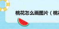 桃花怎么畫圖片(桃花怎么畫)