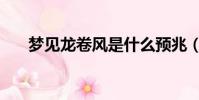 夢見龍卷風是什么預兆(夢見龍卷風)