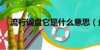流行詞盤它是什么意思(盤它什么意思)