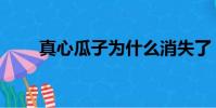 真心瓜子為什么消失了(真心瓜子)
