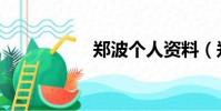鄭波個人資料(鄭波)