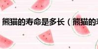 熊貓的壽命是多長(熊貓的壽命有多長時間)