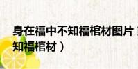 身在福中不知福棺材圖片 熊貓(身在福中不知福棺材)