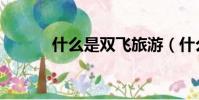 什么是雙飛旅游(什么是雙飛)