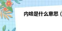 內啥是什么意思(內啥)