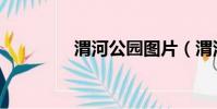 渭河公園圖片(渭河公園)