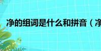 凈的組詞是什么和拼音(凈的組詞是什么)