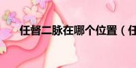 任督二脈在哪個位置(任督二脈在哪)
