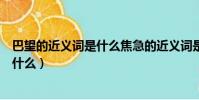 巴望的近義詞是什么焦急的近義詞是什么(巴望的近義詞是什么)