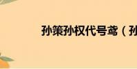 孫策孫權代號鳶(孫策孫權)