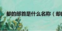 卻的部首是什么名稱(卻的部首是什么)
