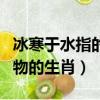 冰寒于水指的是什么生肖（冰寒于水是什么動物的生肖）