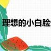 理想的小白臉生活側室（理想的小白臉生活）