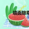 墻面除霉的最好方法（墻面除霉）
