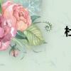 杜傳旺案（杜傳旺）