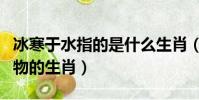 冰寒于水指的是什么生肖(冰寒于水是什么動物的生肖)
