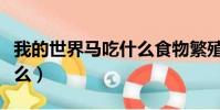 我的世界馬吃什么食物繁殖(我的世界馬吃什么)