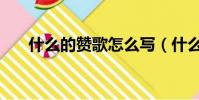 什么的贊歌怎么寫(什么的贊歌填空)