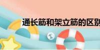 通長筋和架立筋的區別(通長筋)