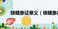 錦鯉象征意義(錦鯉象征什么意思)