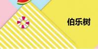 伯樂樹