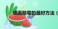 墻面除霉的最好方法(墻面除霉)