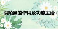 陰陵泉的作用及功能主治(陰陵泉的作用)