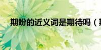 期盼的近義詞是期待嗎(期盼的近義詞)
