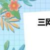 三網通指什么（三網通）