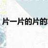 片一片的片的筆順怎么寫（片的筆順怎么寫）