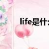 life是什么意思（dirt是什么意思）