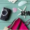 愛情公寓4（愛情公寓4s）