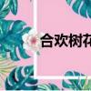 合歡樹花開是在芒種（合歡樹花）
