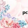 pc套件通用（pc套件）
