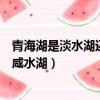 青海湖是淡水湖還是咸水湖海拔多高（青海湖是淡水湖還是咸水湖）