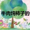 牛肉燉柿子的做法視頻（牛肉燉柿子的做法）