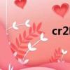 cr2電池參數（cr2電池）
