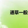 通草一般賣多少（通草多少錢一克）
