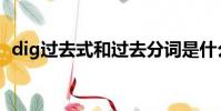 dig過去式和過去分詞是什么(dig過去式)