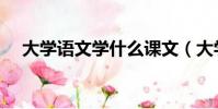 大學語文學什么課文(大學語文學什么)