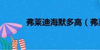 弗萊迪海默多高(弗萊迪海默)
