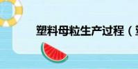 塑料母粒生產過程(塑料母粒)