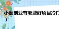 小額創業有哪些好項目冷門(小額創業好項目)