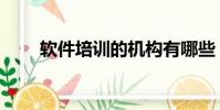 軟件培訓的機構有哪些(軟件培訓)