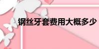 鋼絲牙套費用大概多少(鋼絲牙套)