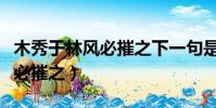 木秀于林風必摧之下一句是什么(木秀于林風必摧之)