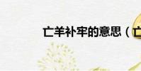 亡羊補牢的意思(亡羊補牢)