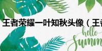 王者榮耀一葉知秋頭像(王者榮耀一葉知秋)