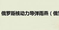 俄羅斯核動力導彈雨燕(俄羅斯核動力導彈)