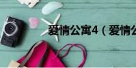 愛情公寓4(愛情公寓4s)